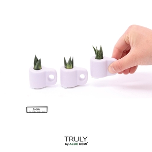 TRULY Succulent, Mug Purple Mini
