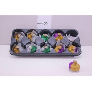 Hippeastrum Wax Duocolor Glitter