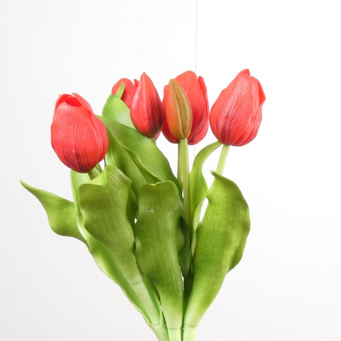 AF Tulip Bundle x7 L31cm Red