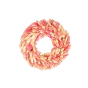 Wr Lagurus D30 Pink White