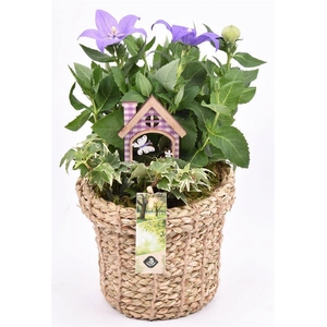 Touwmand met rand 17cm