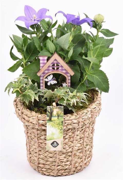 <h4>Touwmand met rand 17cm</h4>