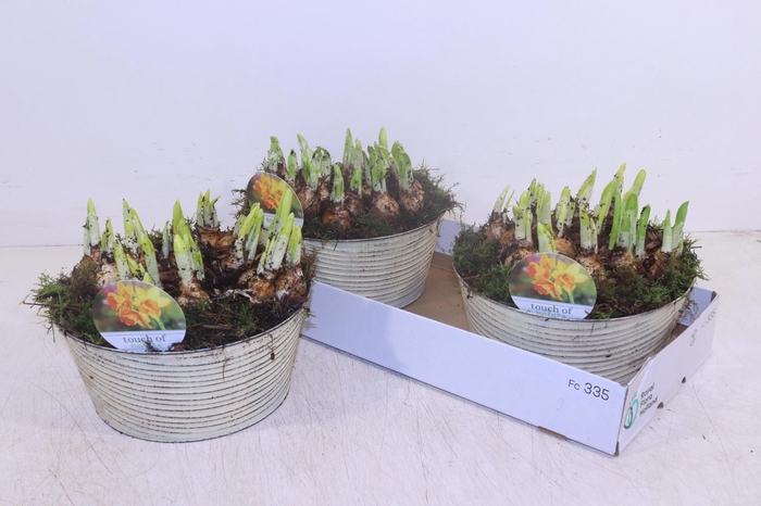 <h4>ARR N TETE A TETE</h4>