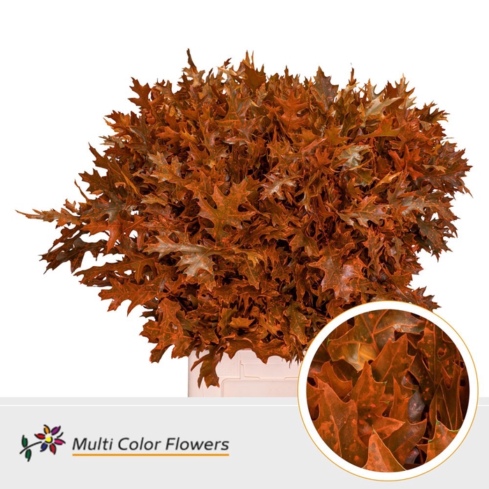 <h4>Eik Fijn (80 cm) Frost oranje</h4>