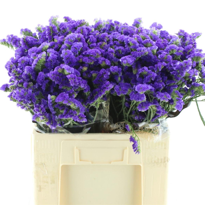 <h4>Lim S Cryst Dark Blu</h4>