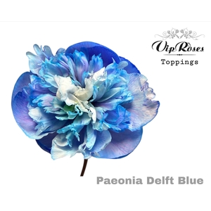 PAEONIA DELFT BLUE