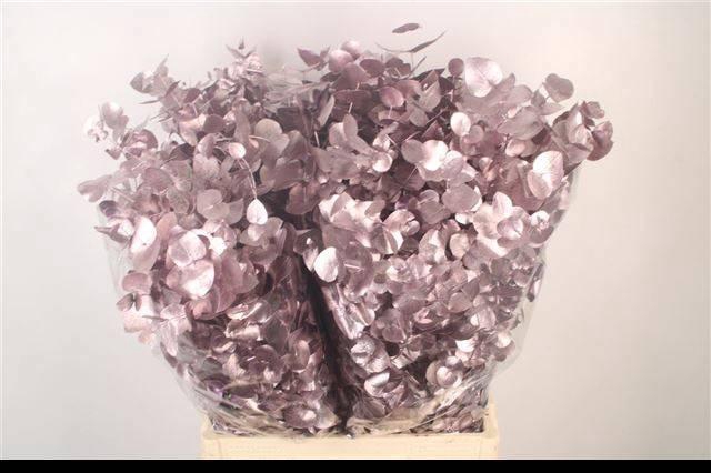 <h4>EUC CIN KLB P BOS H%</h4>