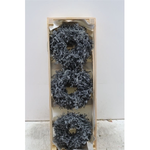 Wr Asparagus Wax Black 23cm