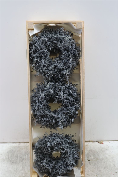 <h4>Wr Asparagus Wax Black 23cm</h4>