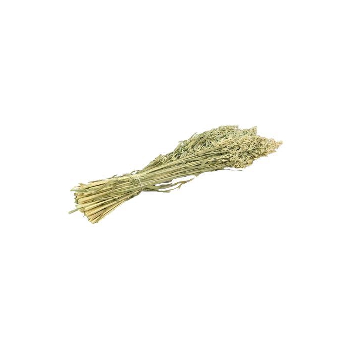 <h4>Bunch Avena Slv 200g L60</h4>