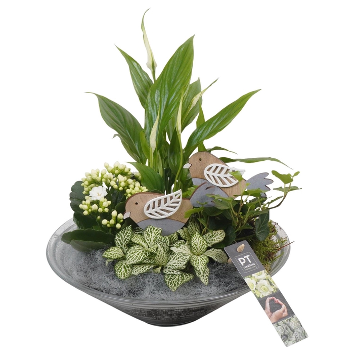 <h4>Arr.    Planten  L%</h4>