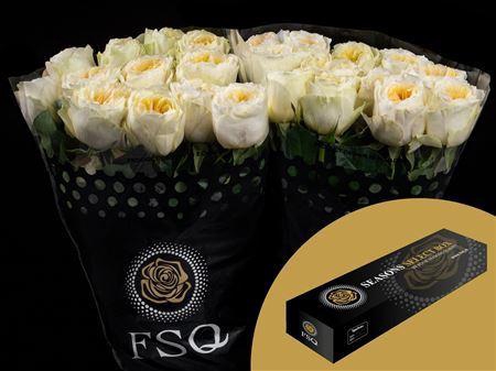 <h4>R Gr Gar Antonia Garden Box</h4>