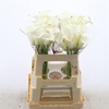 Calla Crystal Clear