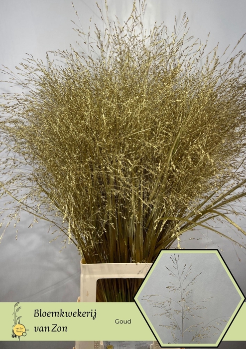 <h4>Siergr Ov Klb H%</h4>