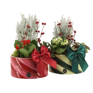 61776: X-mas arrangement