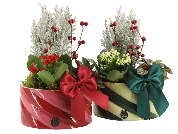<h4>61776: X-mas arrangement</h4>