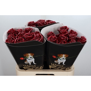 Wax-Rozen Wax Bordeaux w1