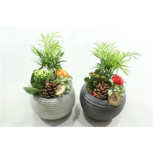 4992 KER BOLPOT RD/WIT