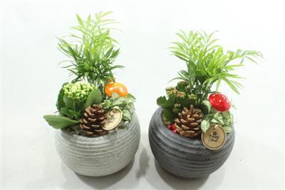 <h4>4992 KER BOLPOT RD/WIT</h4>