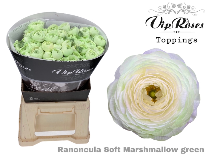 RAN OV MARSHMALLOW GREEN