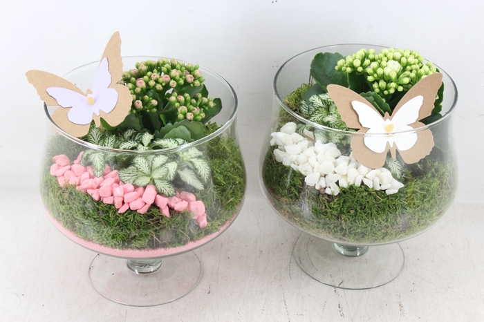 Arr2 Pl - Glas Op Voet X6 - Roze/wit