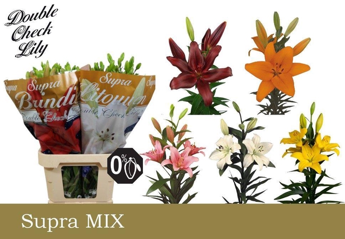 <h4>LI LA GEM IN FUST SUPRA</h4>