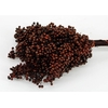 Schinus M Pt Brown Bunch