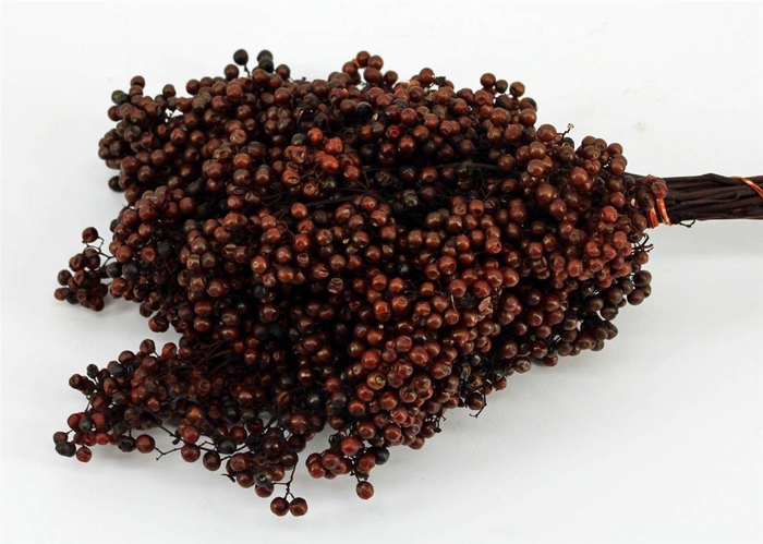Schinus M Pt Brown Bunch