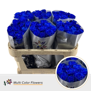 Rosa Gr. Blauw Donker