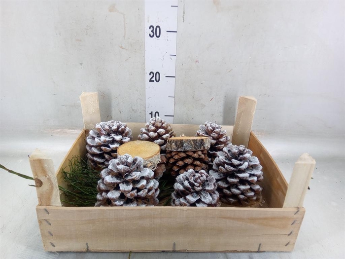 <h4>Decoratieve materialen   ...H%</h4>