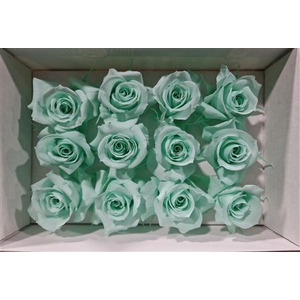 Ro Pres.. Green Mint (4cm)