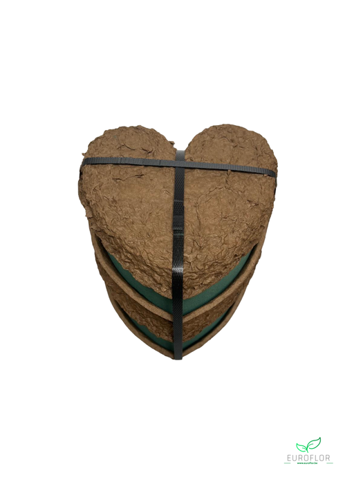 OASIS BIOLIT HART 17CM 4ST