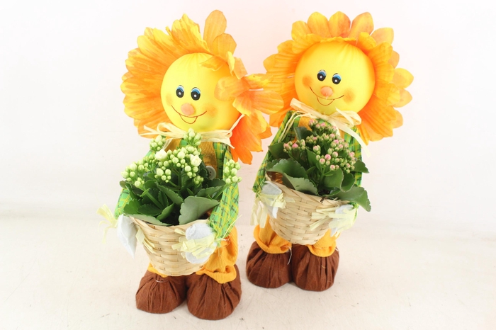 <h4>arr2 TD - Zonnenbloem pop - roze/wit</h4>
