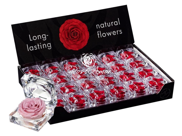 <h4>Display Jewel Pin04</h4>