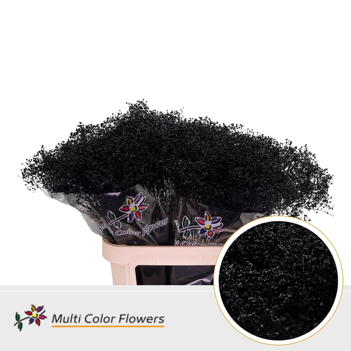 <h4>Gyps Fijn Zwart</h4>