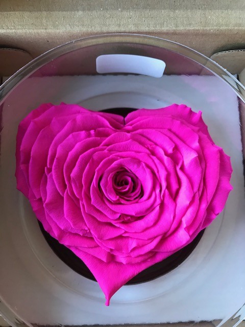 PRESERVED ROSES HEART XXL PIN-07