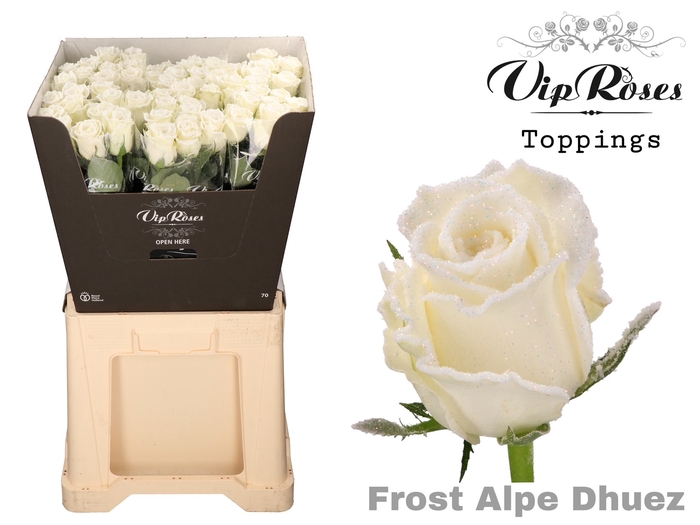 R GR FROST ALPE DHUEZ