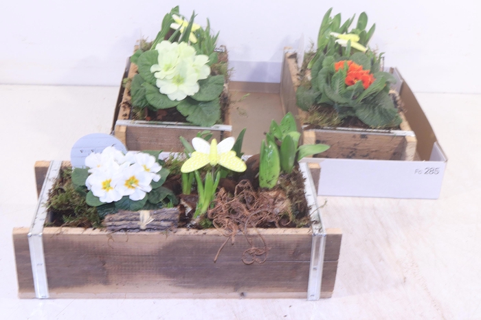 <h4>ARR TUINPLANTEN</h4>