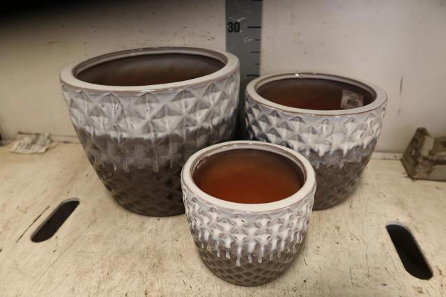 <h4>HUIS EN TUINDECO H%</h4>