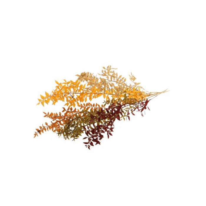 <h4>Ruscus Autumn Mix Slv</h4>
