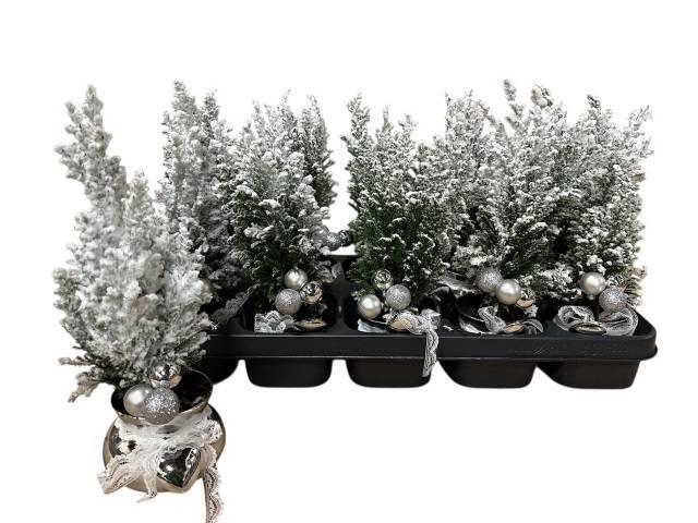 <h4>KERSTBOOM VERSIERD</h4>