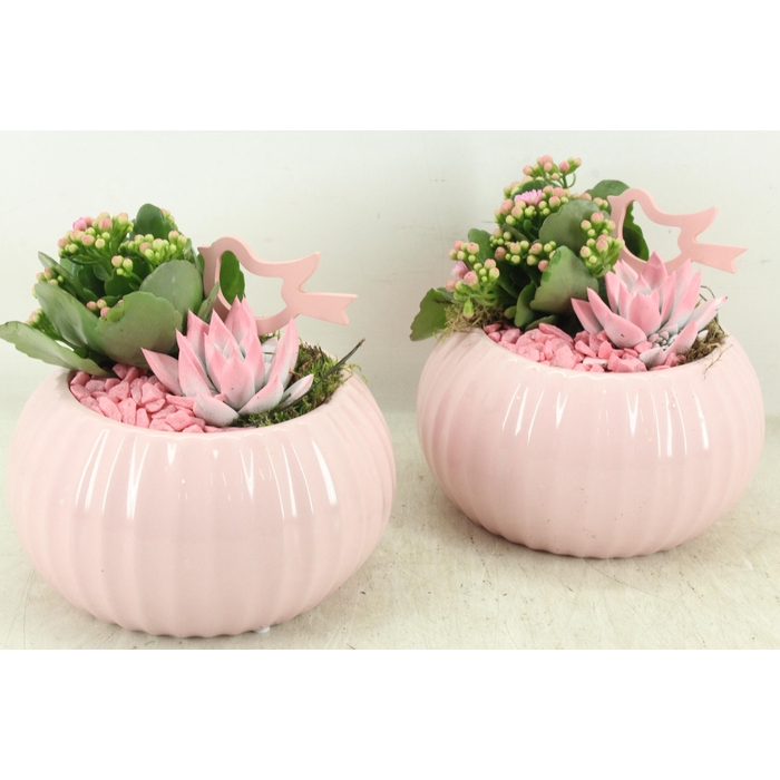 <h4>Arr2 Pl - Ker. Bolpot Tessa Pink 338/4</h4>