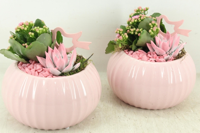 <h4>arr2 PL - Ker. bolpot tessa Pink 338/4</h4>