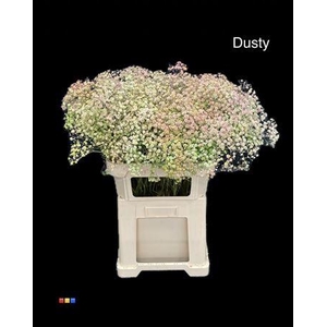 Gyps Xlence Dusty Hortensia