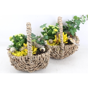 arr2 MB - Hengselm. kl. 285/5 - geel