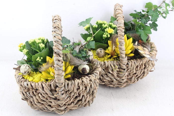 <h4>arr2 MB - Hengselm. kl. 285/5 - geel</h4>