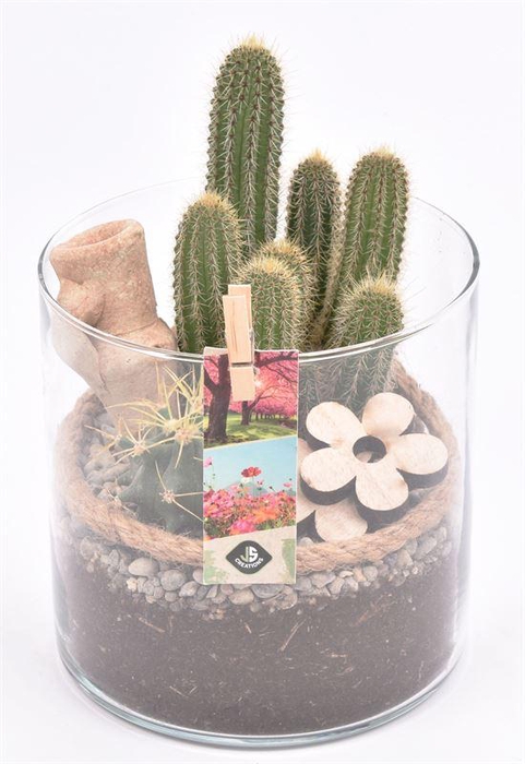 <h4>Glas cilinder 15cm/H 15cm</h4>