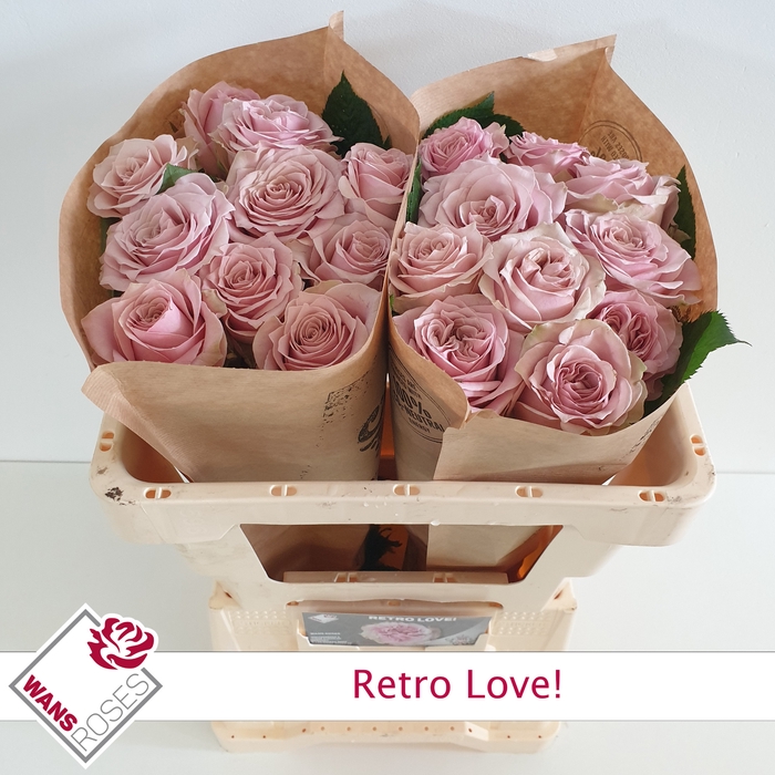 <h4>R GR RETRO LOVE!</h4>