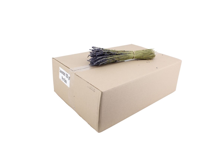 <h4>Lavendel Droog 100 Gr.</h4>