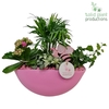 CH005 Eyleen Pink